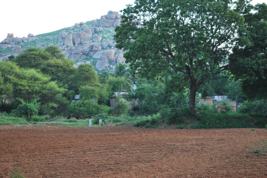 The semi-arid landscape where Radha learnt about food sovereignty